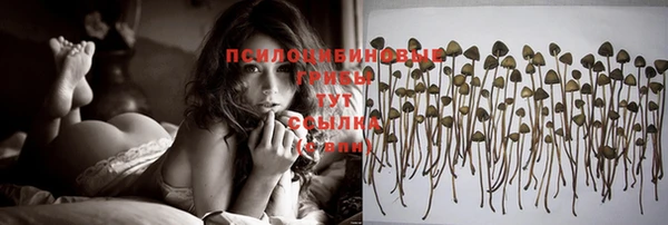 дживик Армянск
