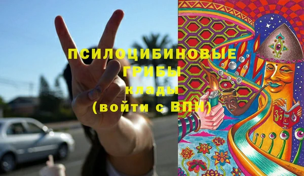 дживик Армянск