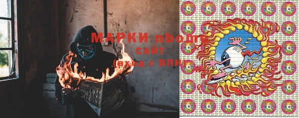 ГАЛЛЮЦИНОГЕННЫЕ ГРИБЫ Арсеньев