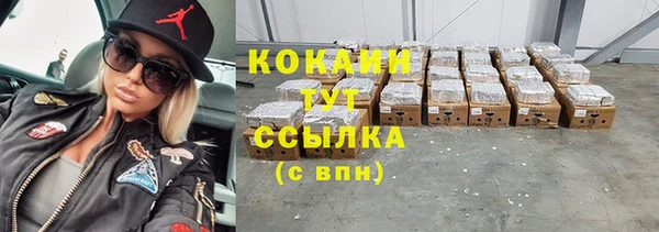 ГАЛЛЮЦИНОГЕННЫЕ ГРИБЫ Арсеньев