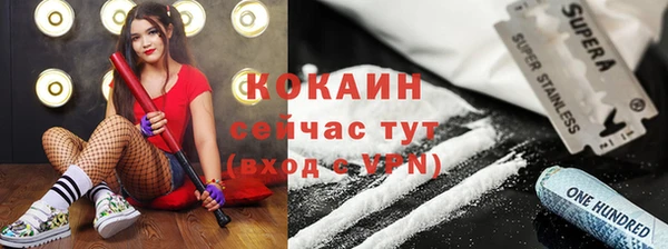 ГАЛЛЮЦИНОГЕННЫЕ ГРИБЫ Арсеньев